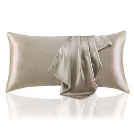 Silk King Size Pillowcase Champagne