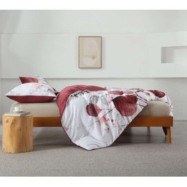 Fawn Rose Quilt Cover Set [SIZE: Super King Bed]