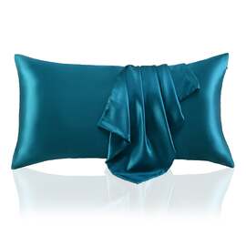 Silk King Size Pillowcase Aqua